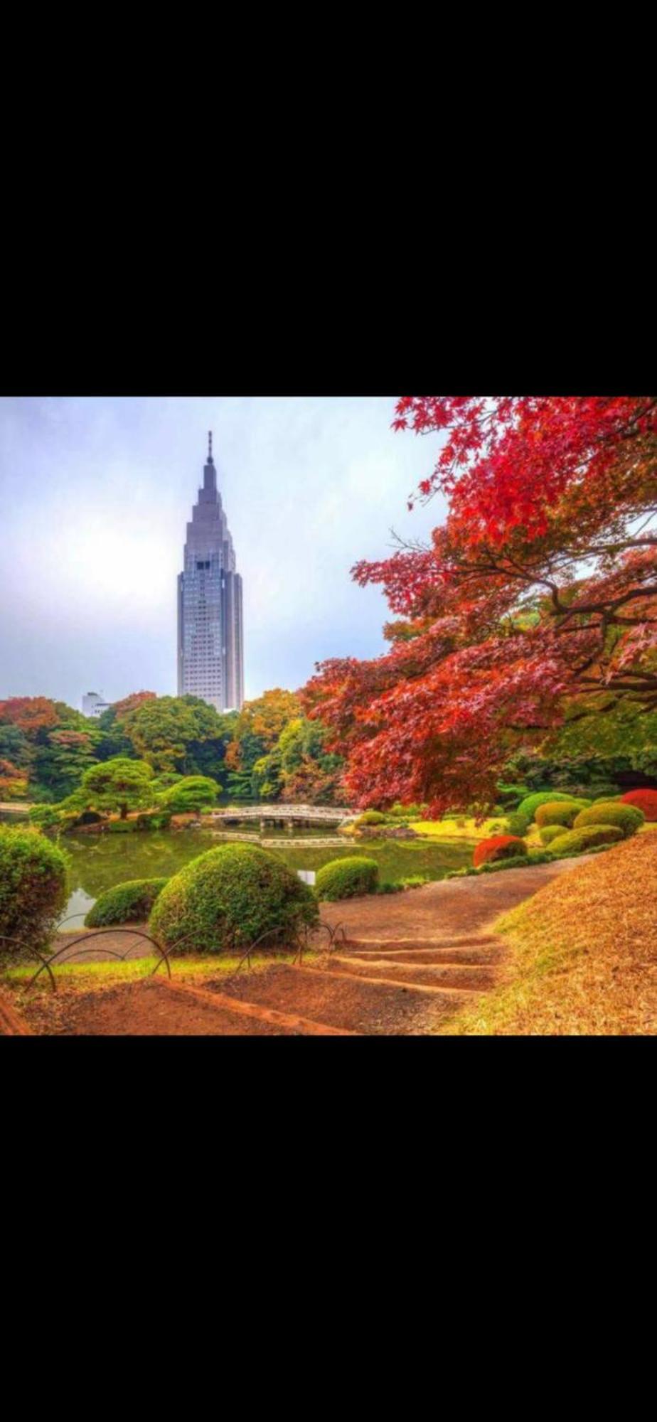 新宿安靜の家-A Quiet Home In Shinjuku - A 26 Square Meter Double Bed Room That Feels Like Home Präfektur Tokio Exterior foto
